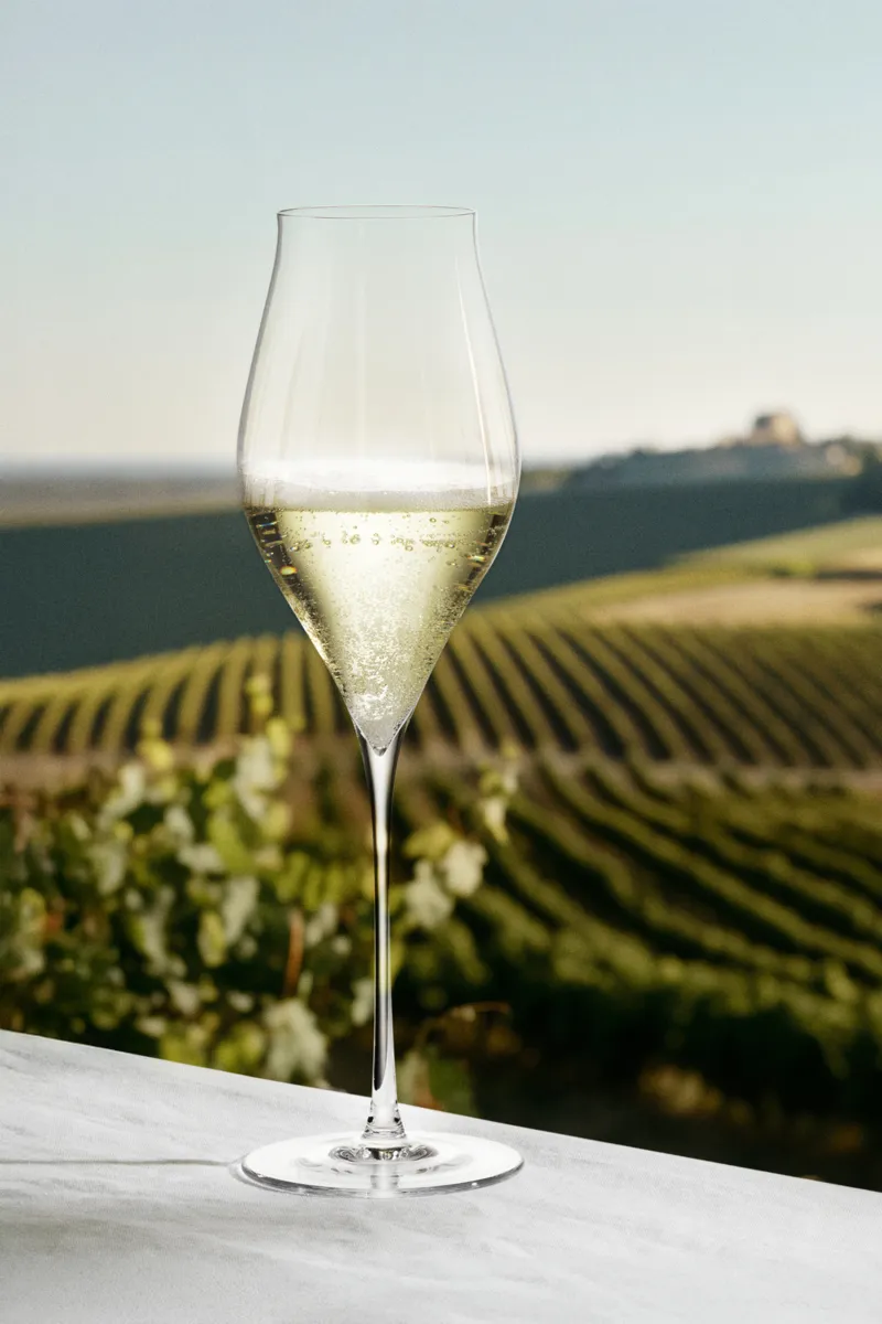 Holmegaard Notes Champagneglas - 2 stk.