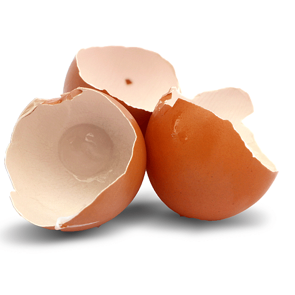 Movoflex Soft Chews Hond