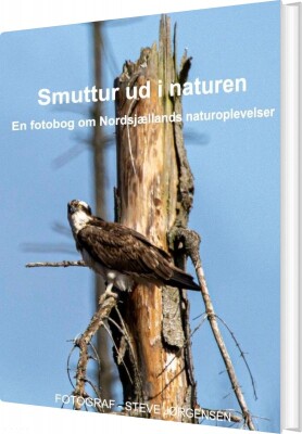 Smuttur Ud I Naturen - Steve Jørgensen - Bog