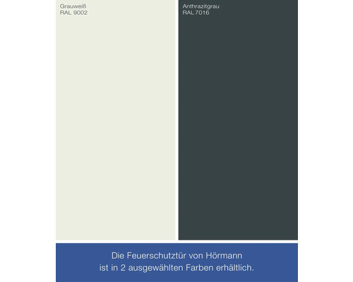 Hörmann brandwerende deur FH deurelement T30-H8-5 verzinkt (RAL 9002 grijswit) 875x2000 mm links/rechts incl. krukgarnituur