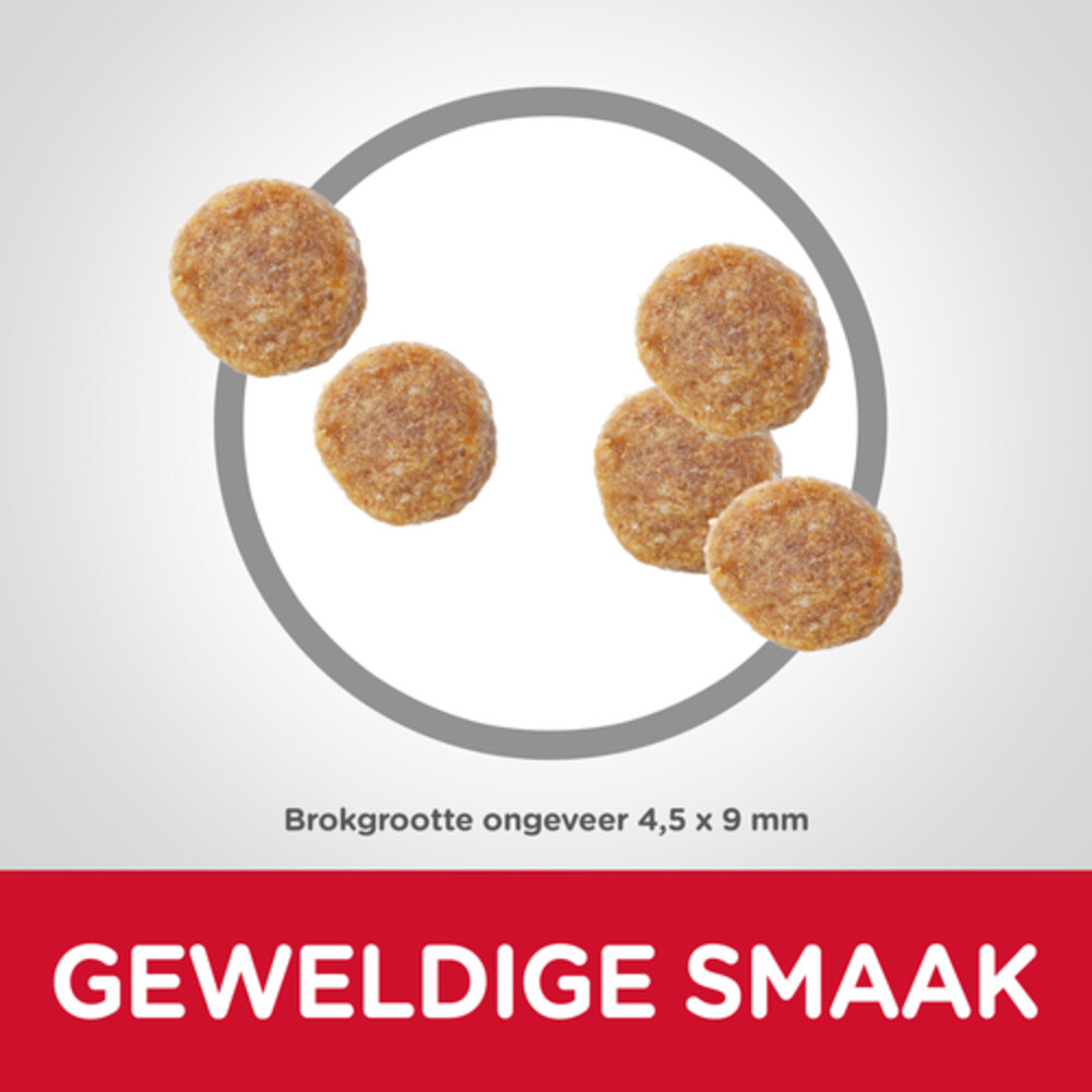 6x Hill's Science Plan Kattenvoer Adult Tonijn300 gr