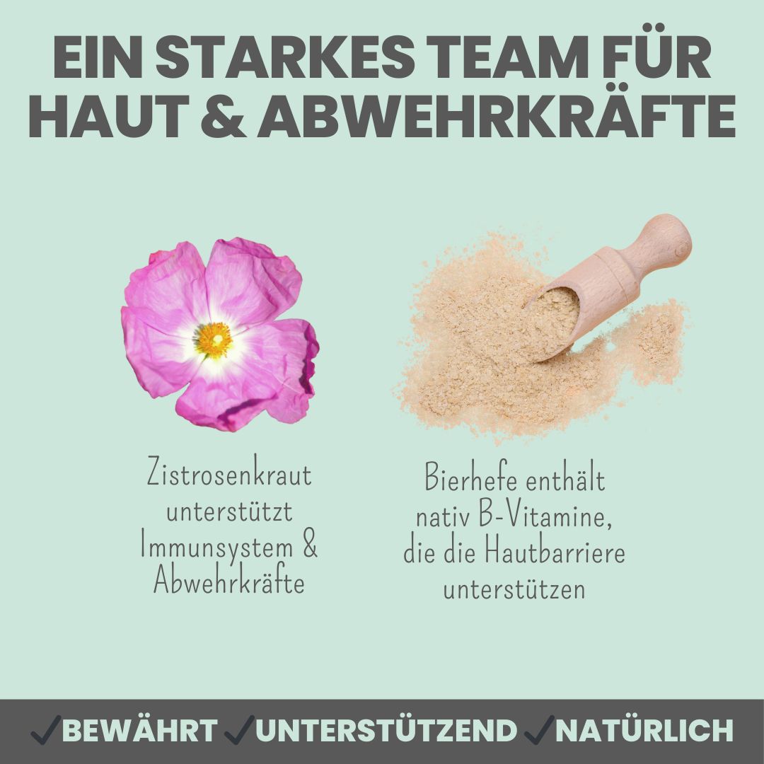 noms+ Zistrosen Tabs - 100% natürliches Zistrosen-Leckerli für Wald- & Wiesenspaziergänge