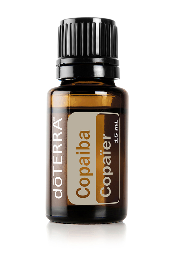 Huile de copaïer  Copaifera reticulata, Copaifera officinalis, Copaifera coriacea et Copaifera langsdorffii