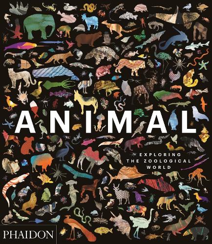 Animal: Exploring the Zoological World (Hardback)