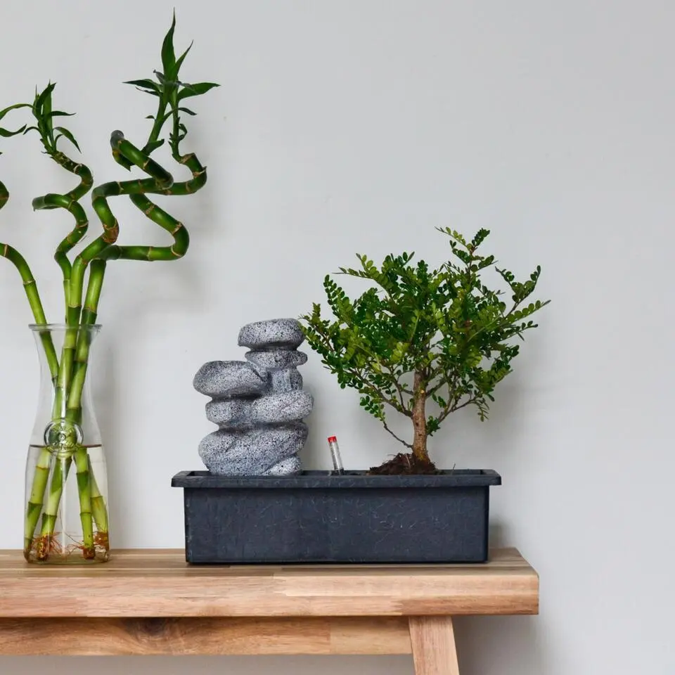 Bonsai met waterval - Set van 2 - Bonsai - Hoogte 25-35cm - ⌀29cm