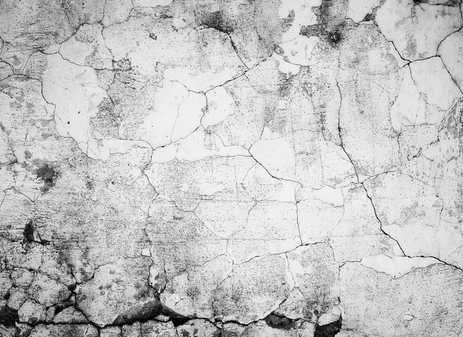 Fototapete DESIGNWALLS - weiß-grau - Beton - 2,55 Meter
