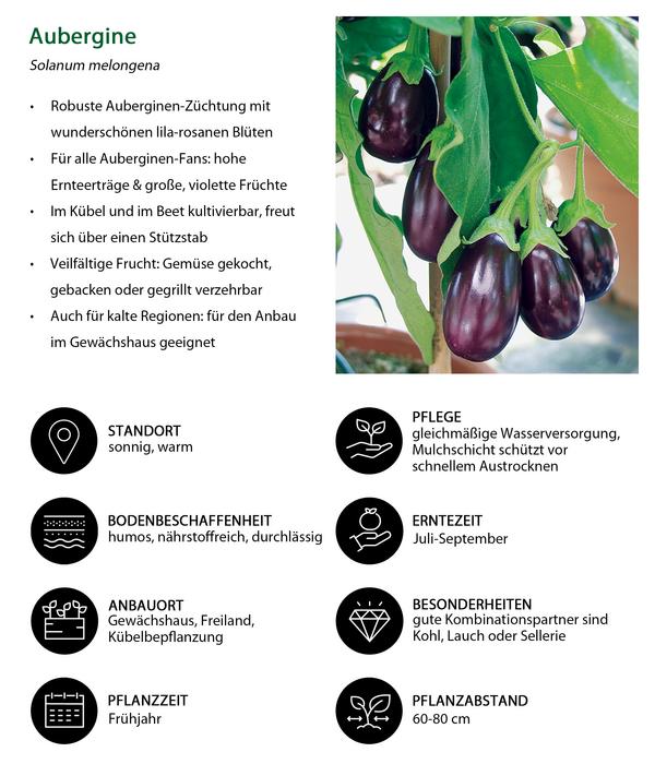 Gemüse-Set Grillparty, 6-teilig