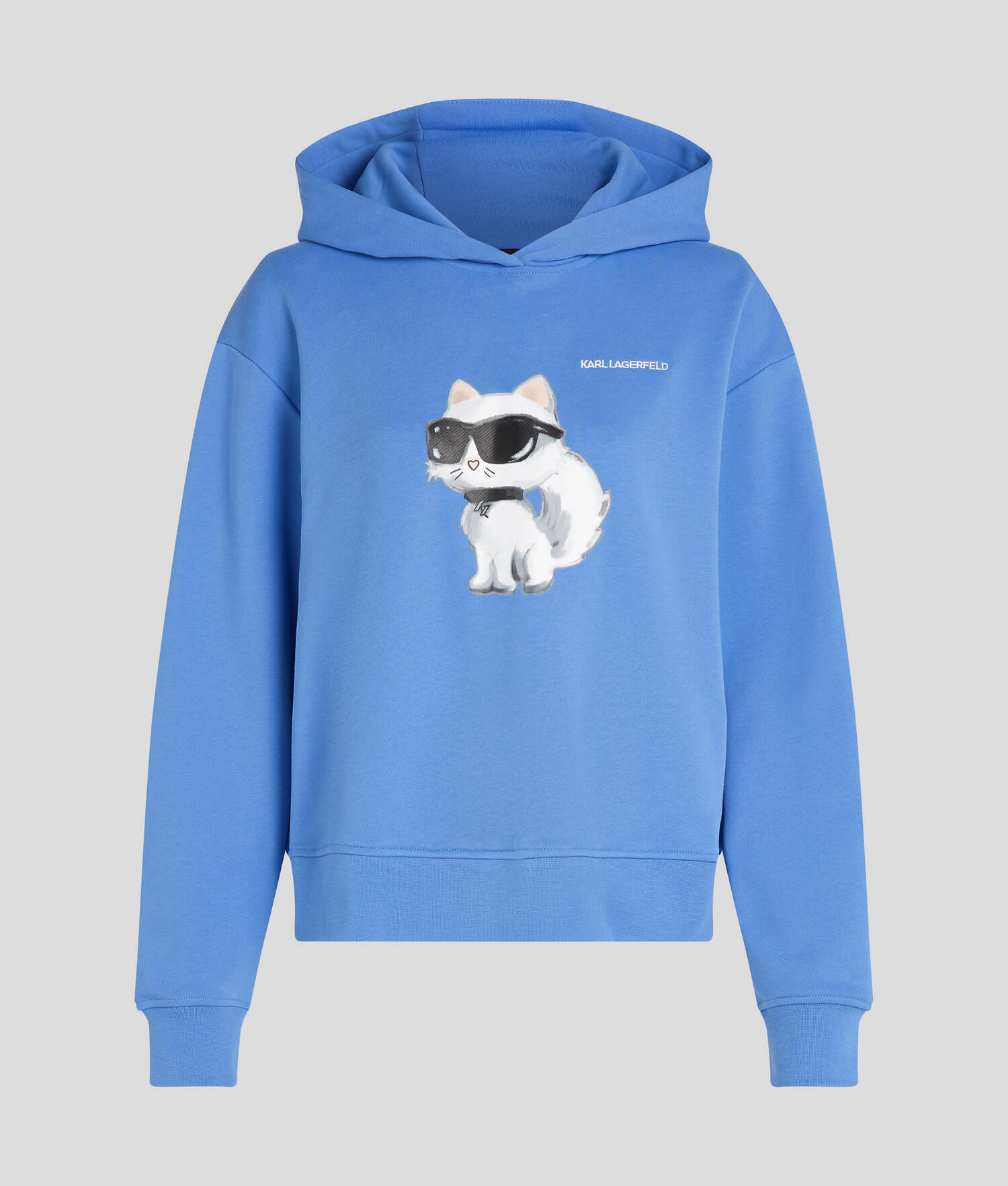 SWEATSHIRT À CAPUCHE AVEC IKON CHOUPETTE STYLE AQUARELLE - Ultramarine