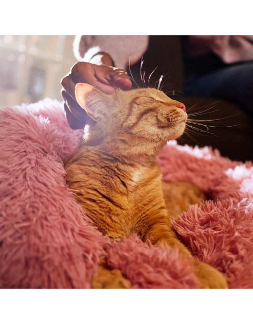 Adori Kattenmand Bangalor - Kattenmand - 60x26 cm Pink
