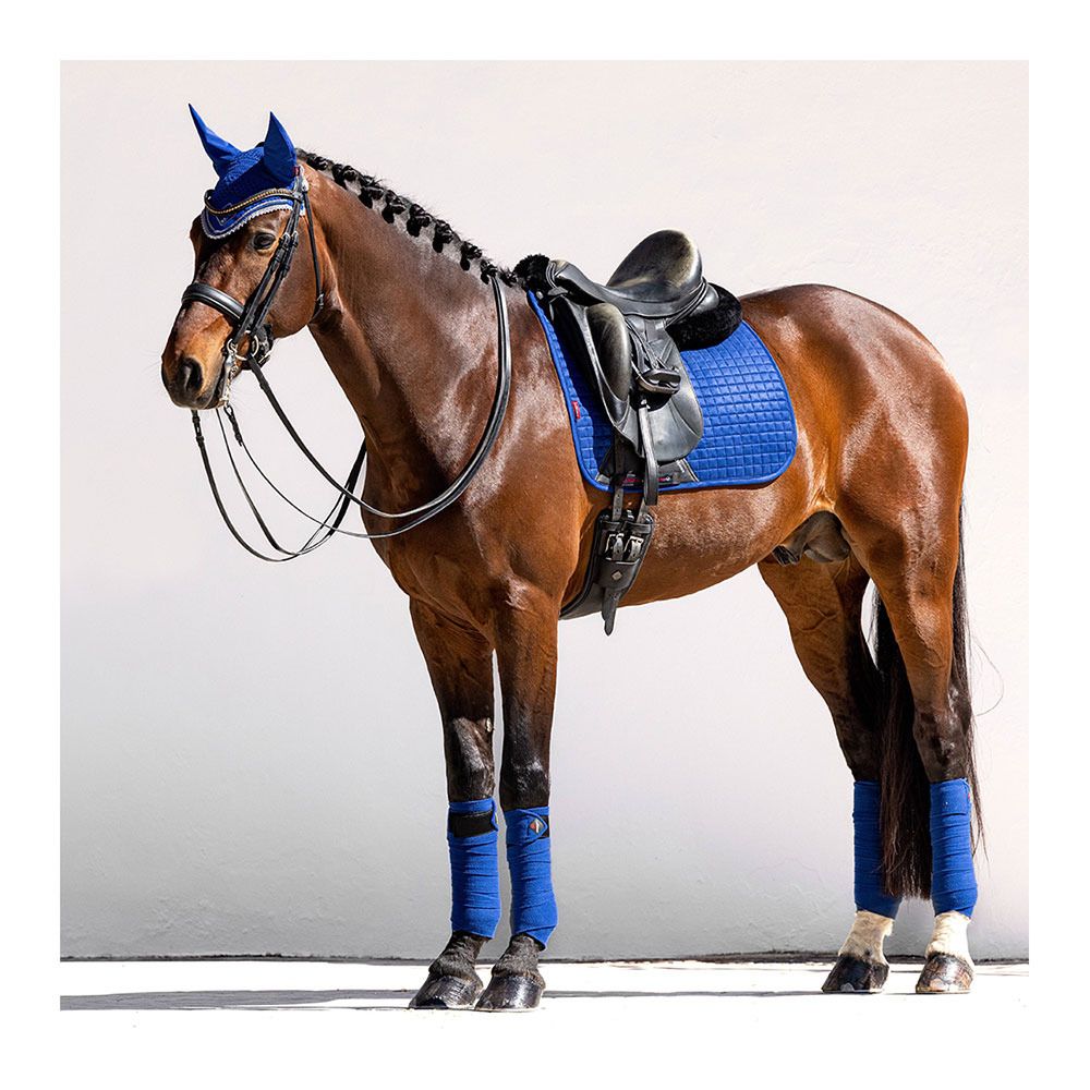 Le Mieux SUEDE DRESSAGE - Tapis de dressage benetton blue