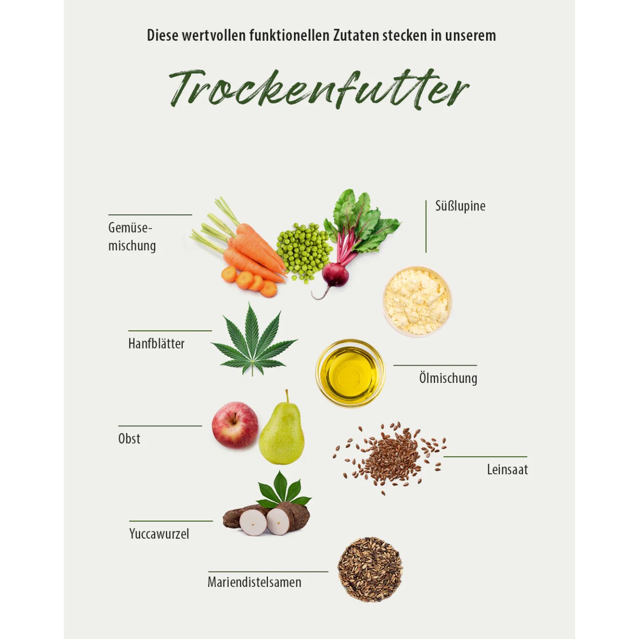 GREEN PAWLY ® Happy Hypo-Allergen für sensible Hunde