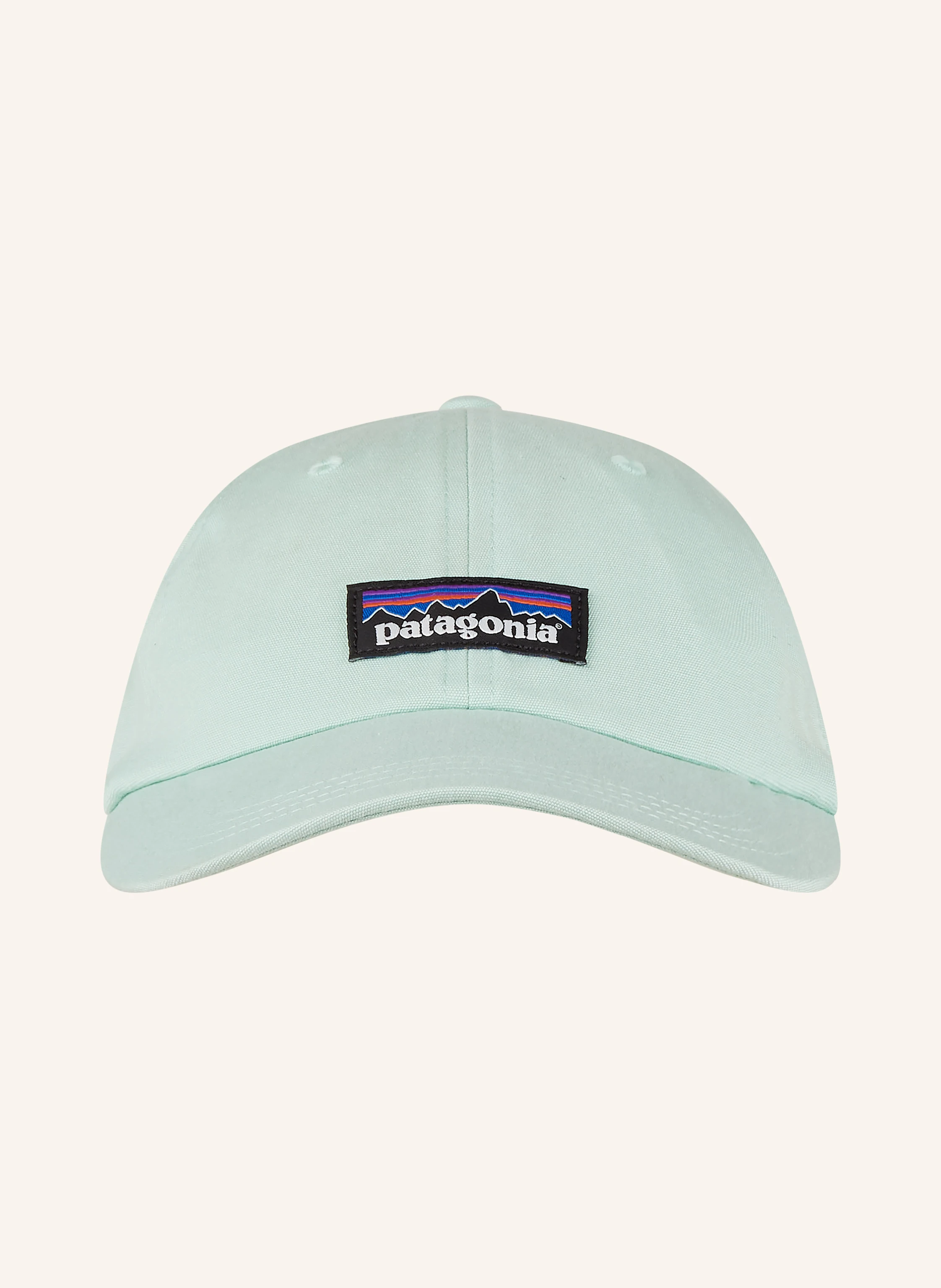 patagonia Cap P-6