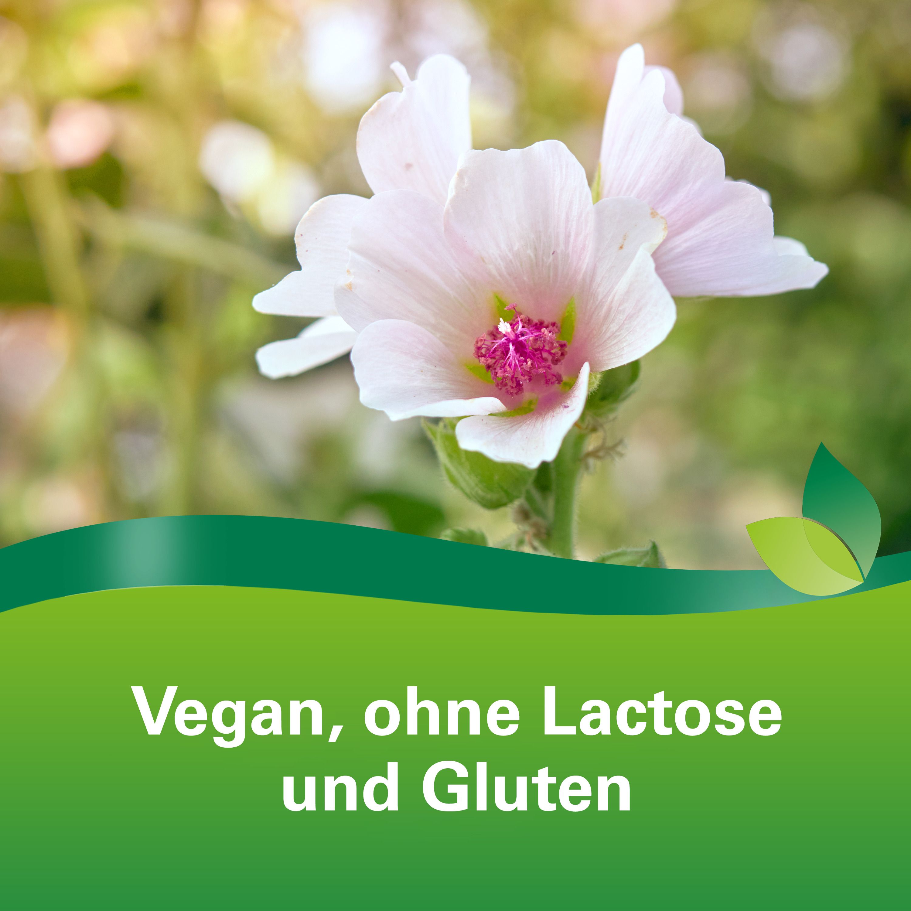 Phytohustil® Hustenreizstiller Sirup