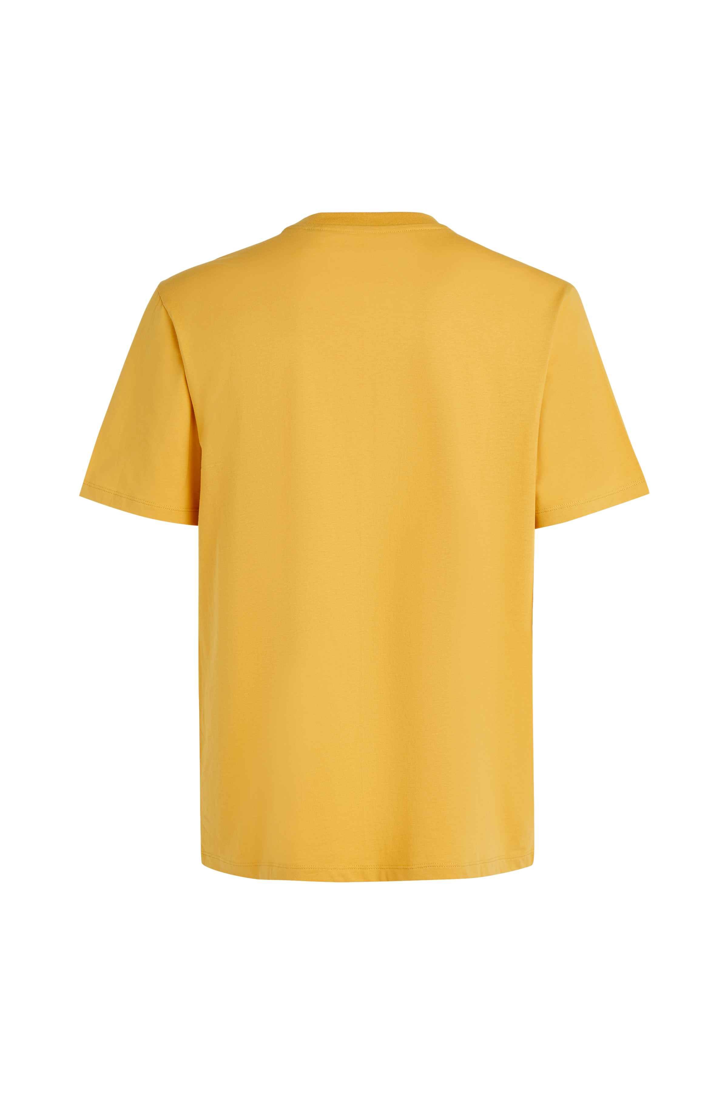 Small Logo T-shirt O`Neill Goud
