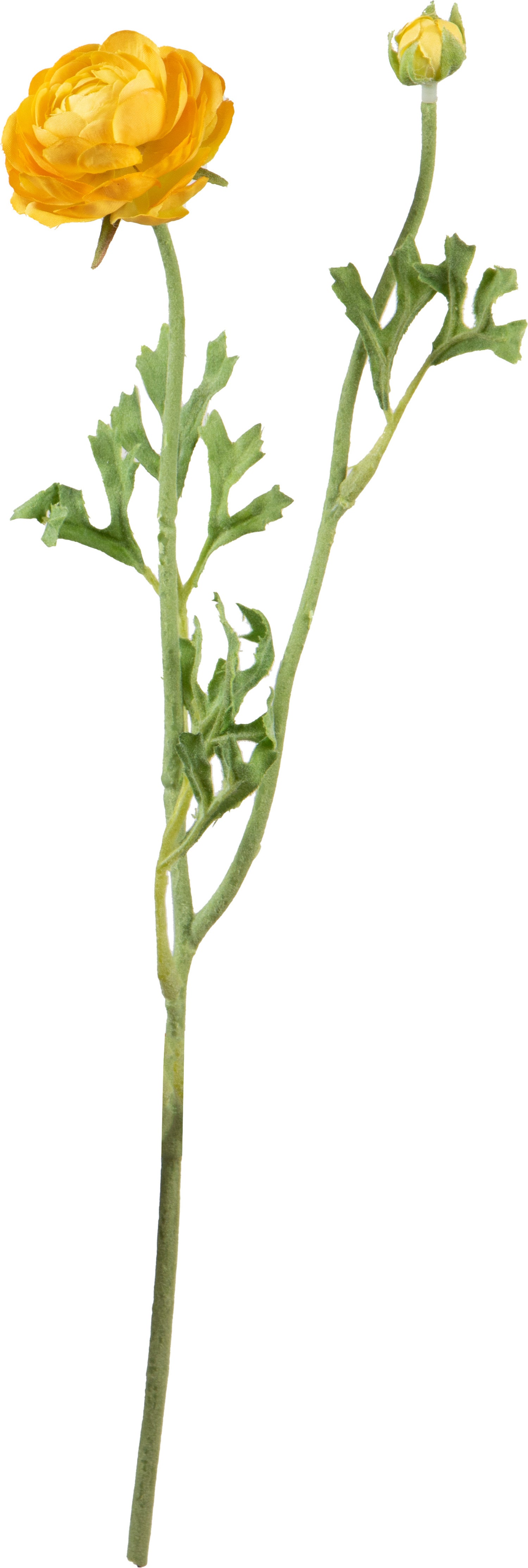 Louis Maes kunstbloem Ranonkel geel L 35 cm
