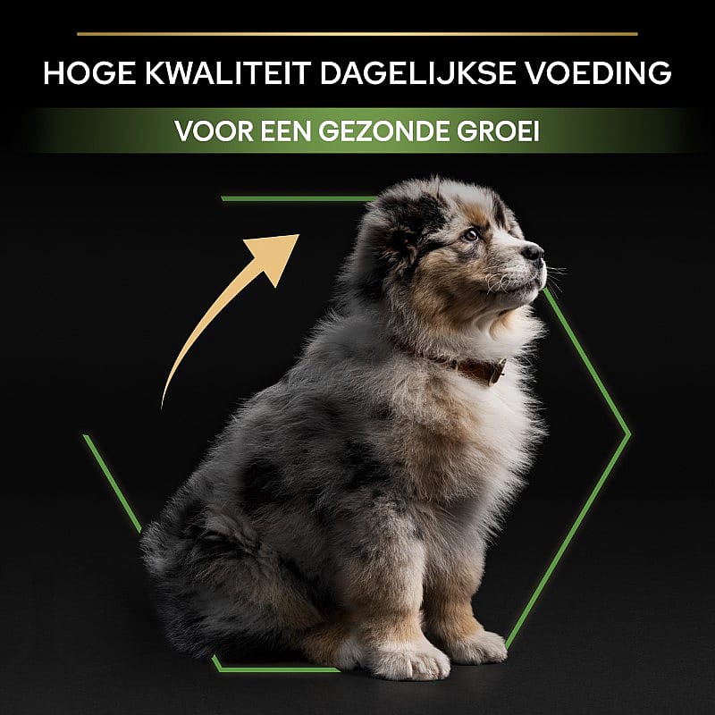 Purina Pro Plan Medium Puppy Healthy Start Kip Hondenvoer 12 kg | 12780