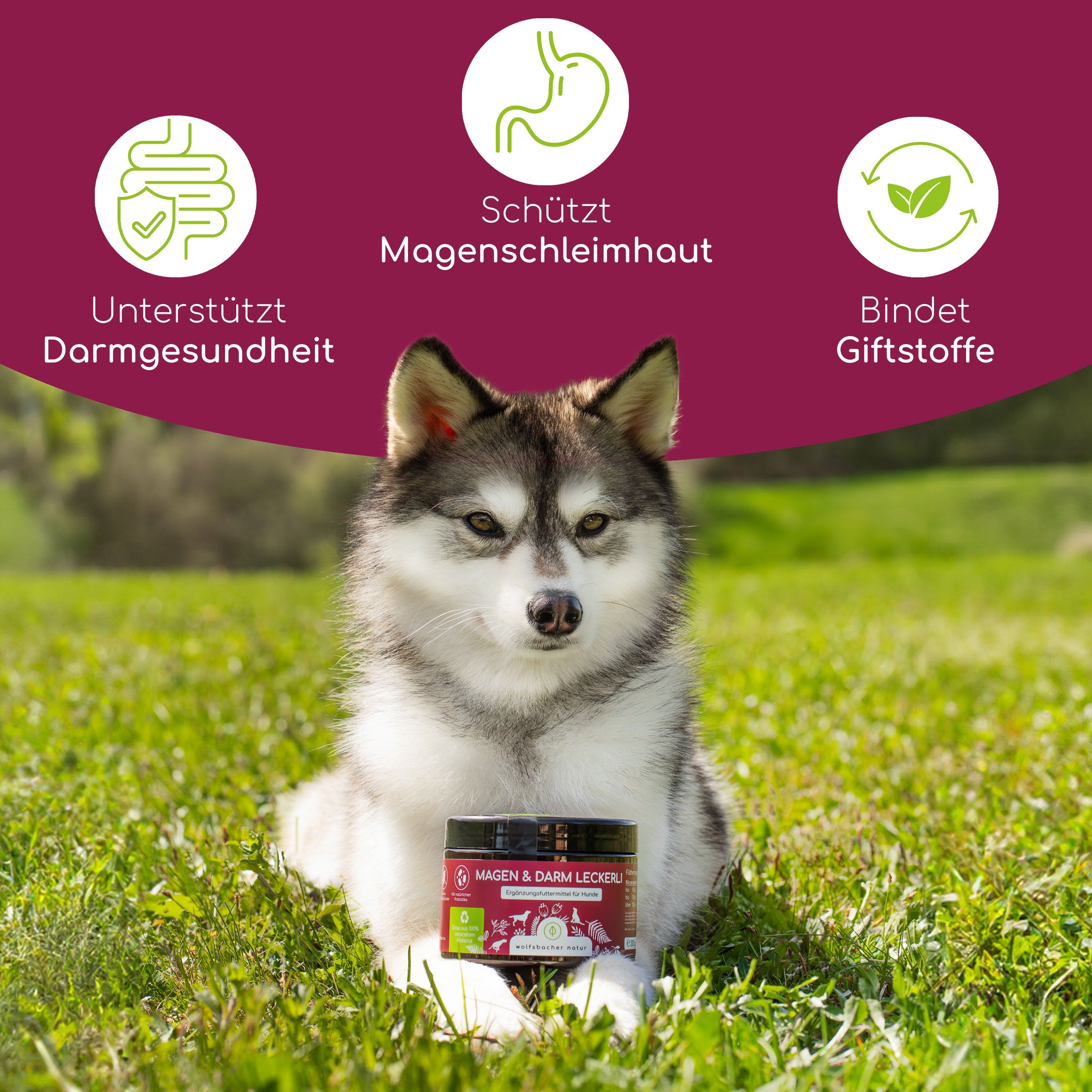 Wolfsbacher Natur Magen & Darm Leckerli