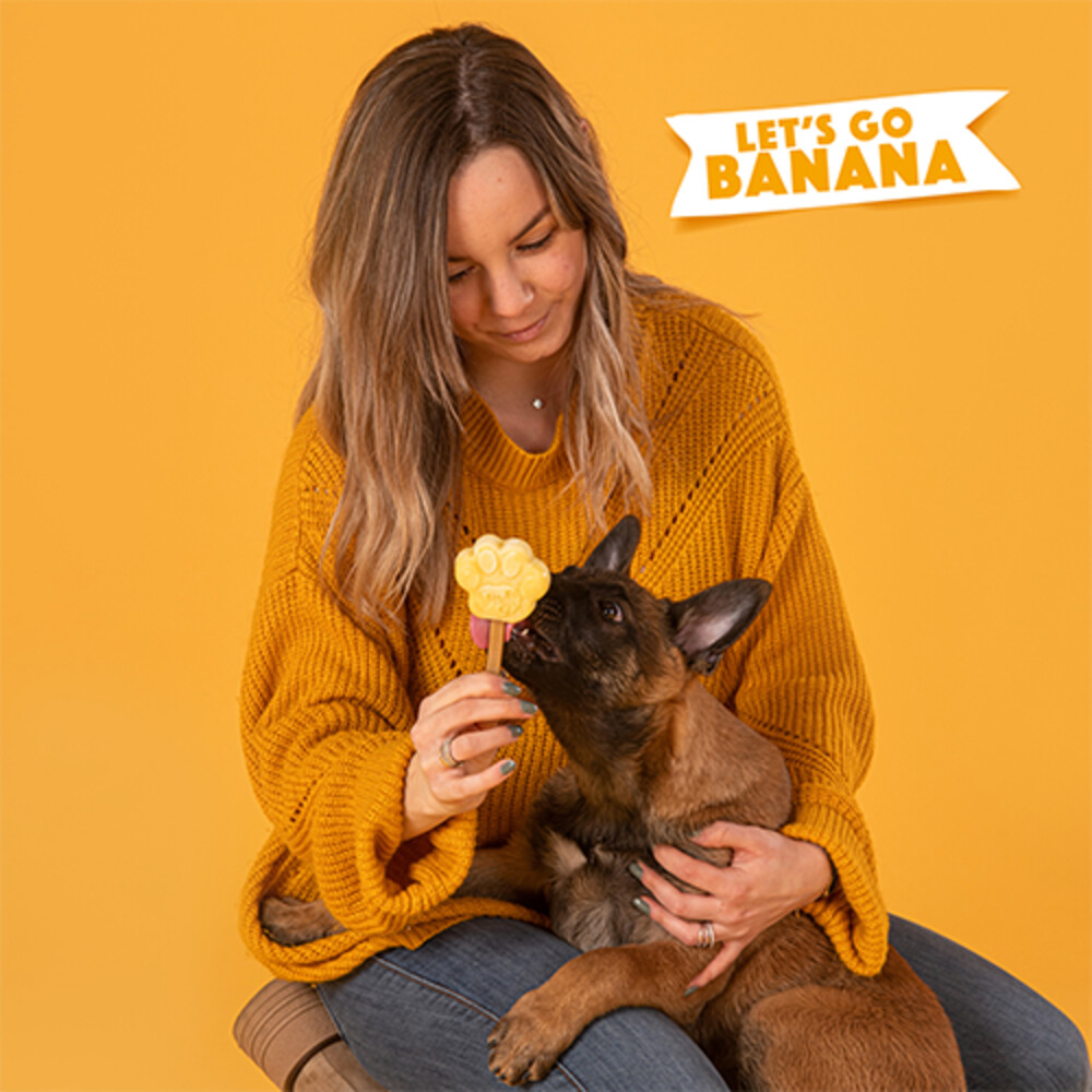 Smoofl Honden IJsmix Banaan160 gr