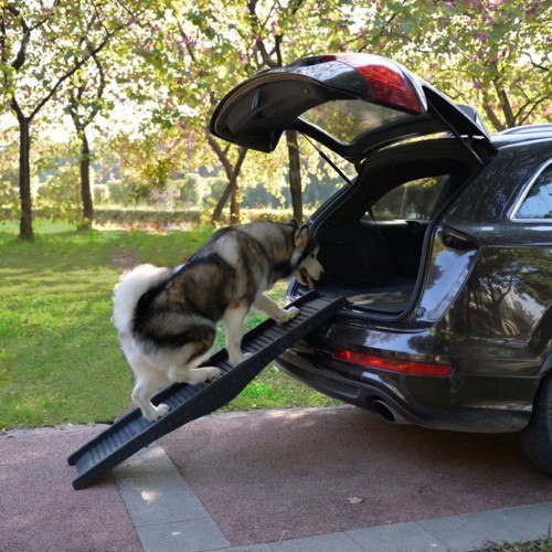 Rampa dobrável para cães em carros, preta