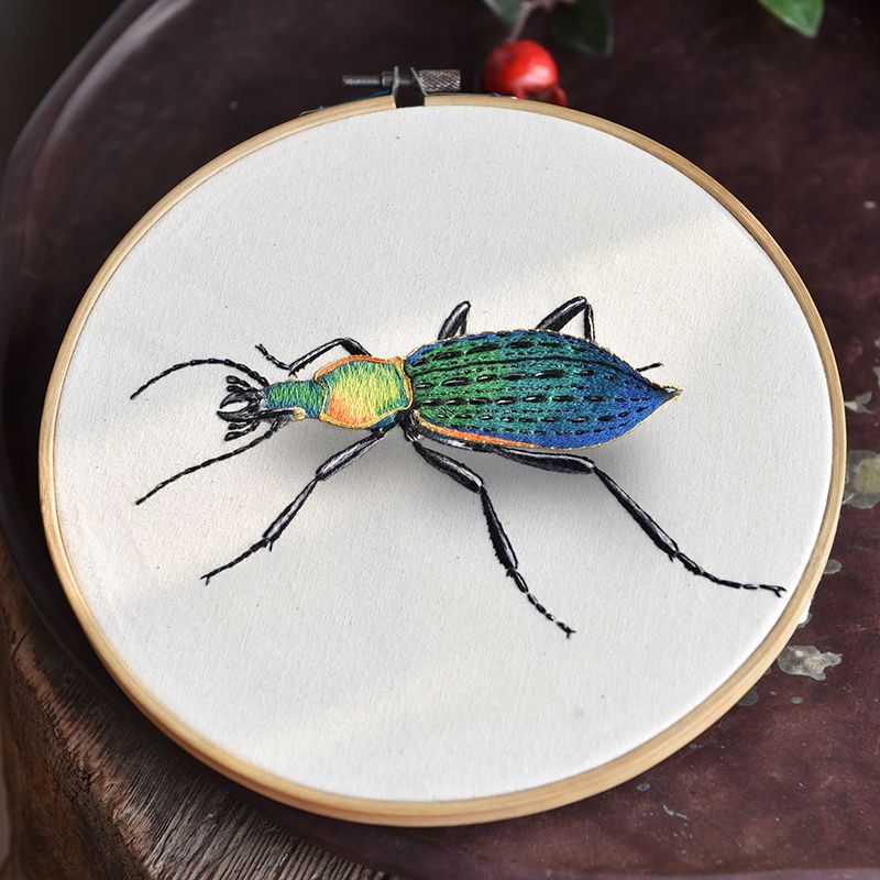 Embroidery Kingdom - DIY-borduurpakket met insecten