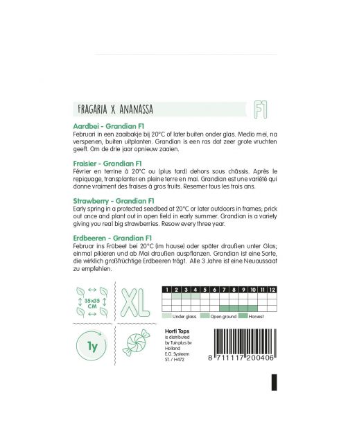 Hortitops Aardbei Grandian F1 - Groentezaden - 20 stuks