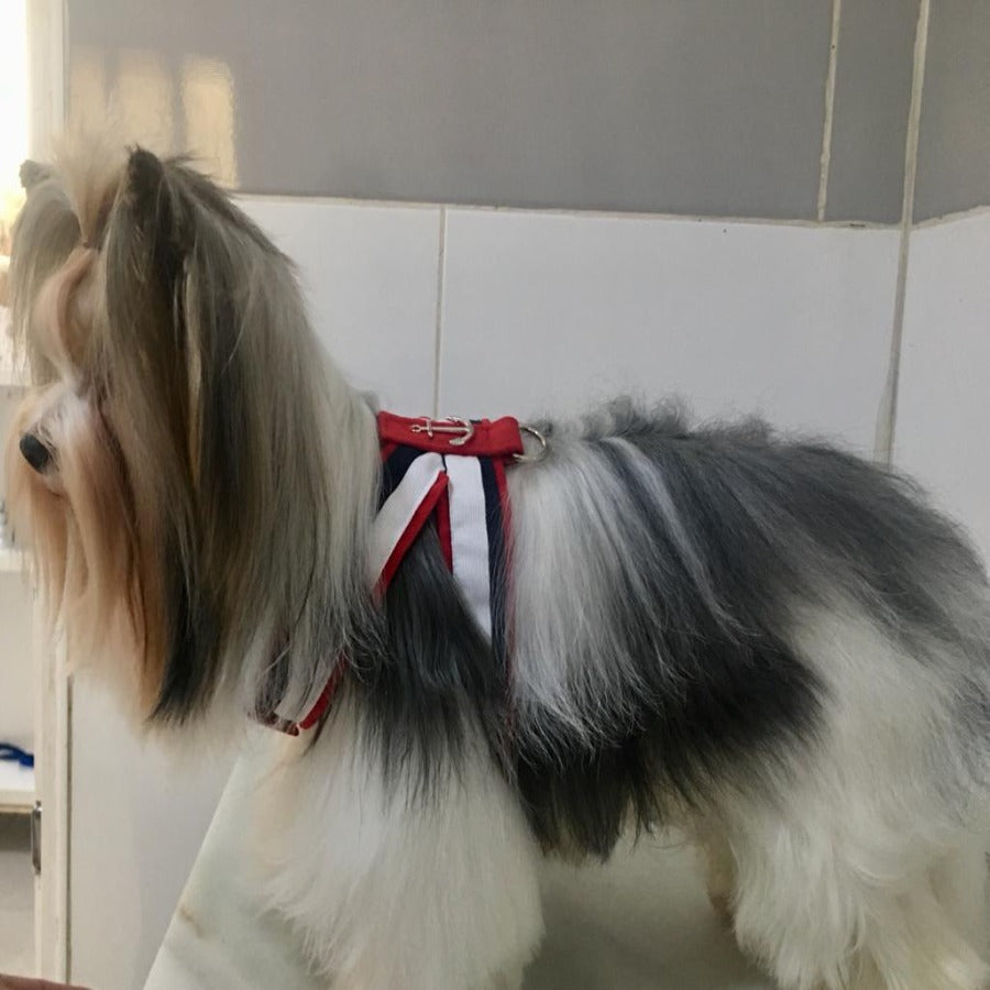 Coleira para cães Ideal Pets Nautica Ella vermelha