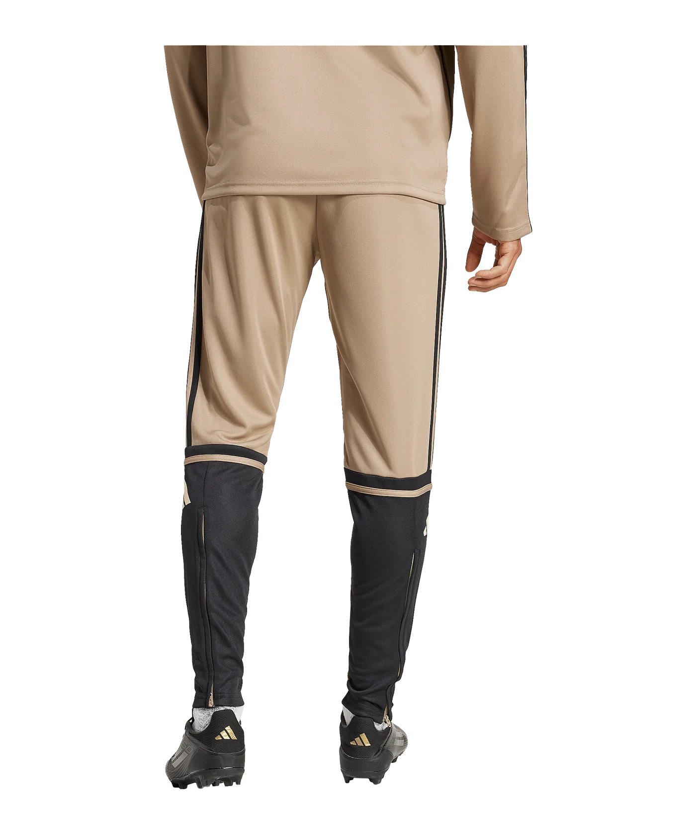 adidas Squadra 25 Trainingshose Braun