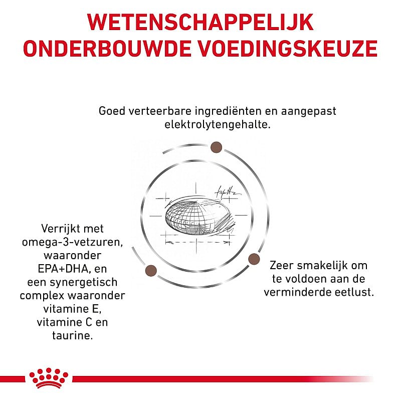 Royal Canin Kat Gastro Intestinal Moderate Calorie Kattenvoer voor ondersteuning van de spijsvertering en een gezond gewicht van volwassen katten
