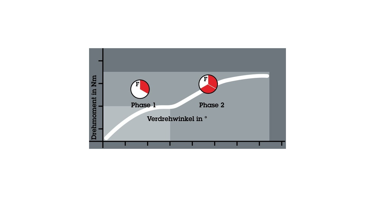 WeraBit-Safe 61 BiTorsion 1 bitset  (61-delig)