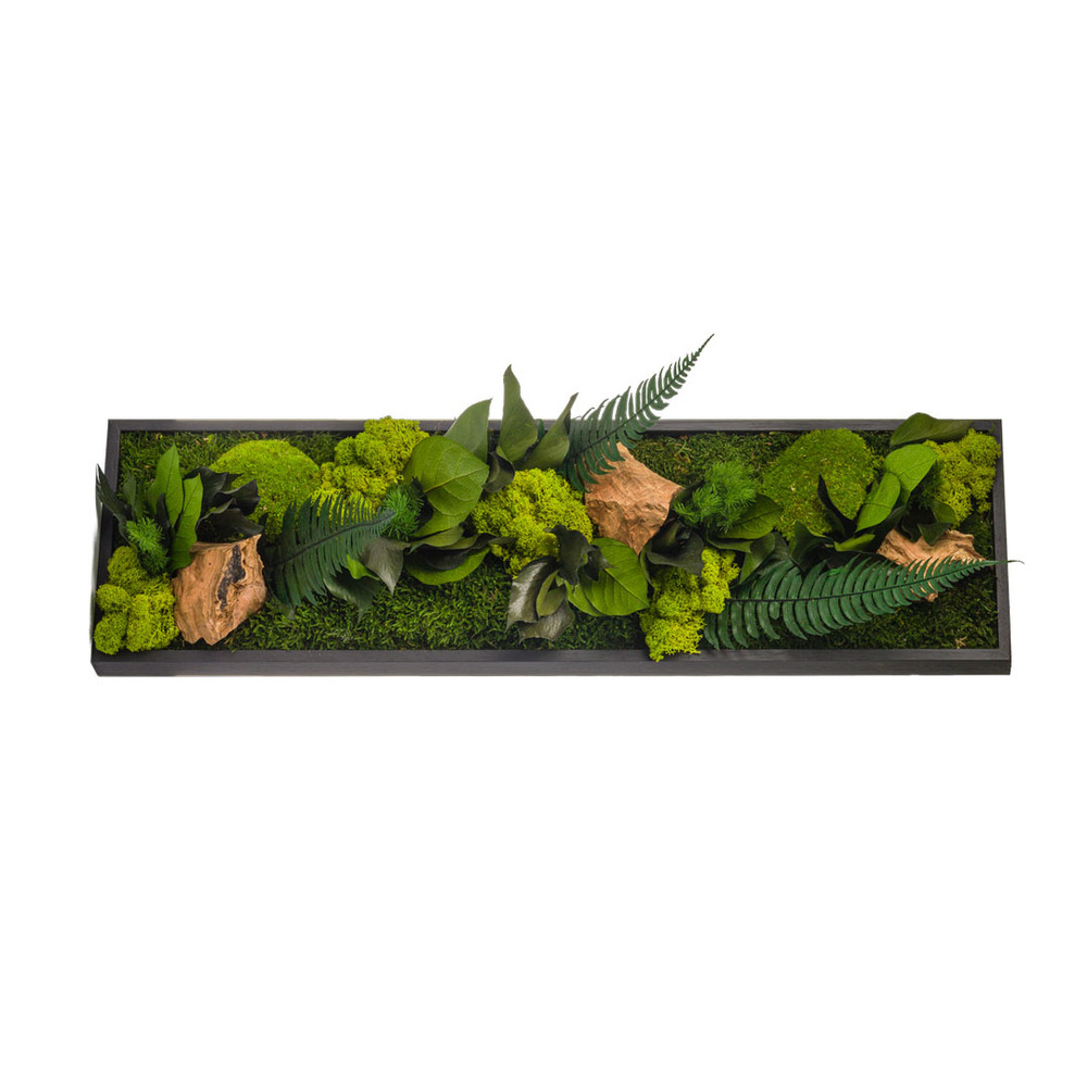 Stab canope panoramic - noir 20x70