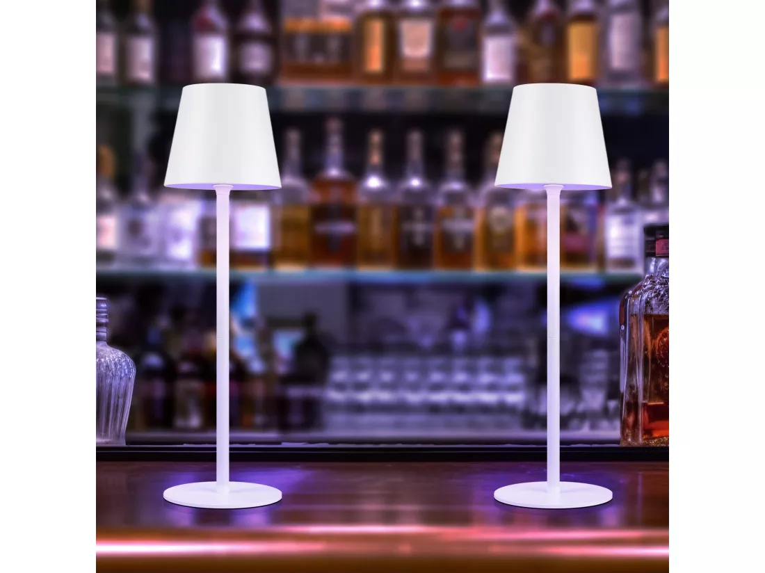 NETTLIFE Lampe de Chevet à Batterie sans Fil， Lot de 2- LED RGB 2600mhA Lampe de Table d'extérieur Rechargeable Tactile Dimmable Blanc USB