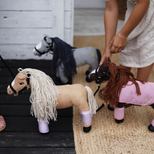 Mini-Pferd Lucky Grau