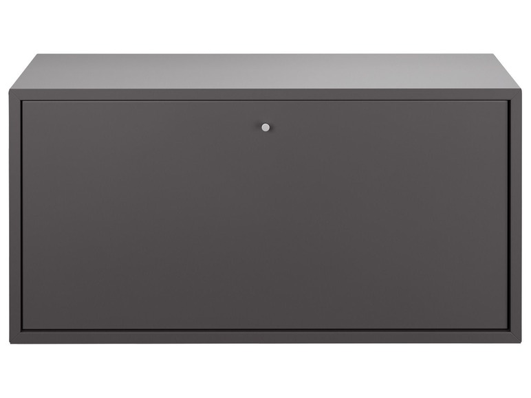 LIVARNO Living® Combineer module plank met deur antraciet
