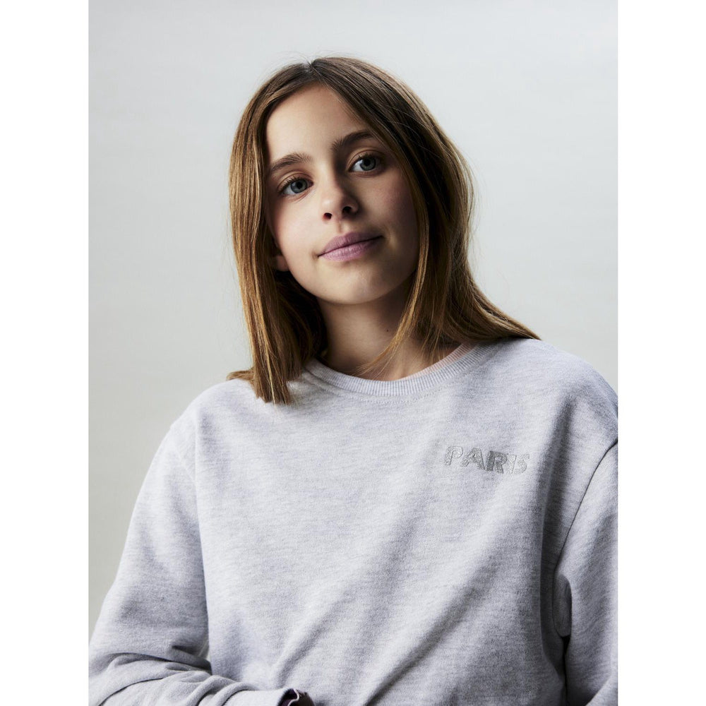 Køb Name It Light Grey Melange Nkftilde Ls Nreg Sweat Top Unb Pb