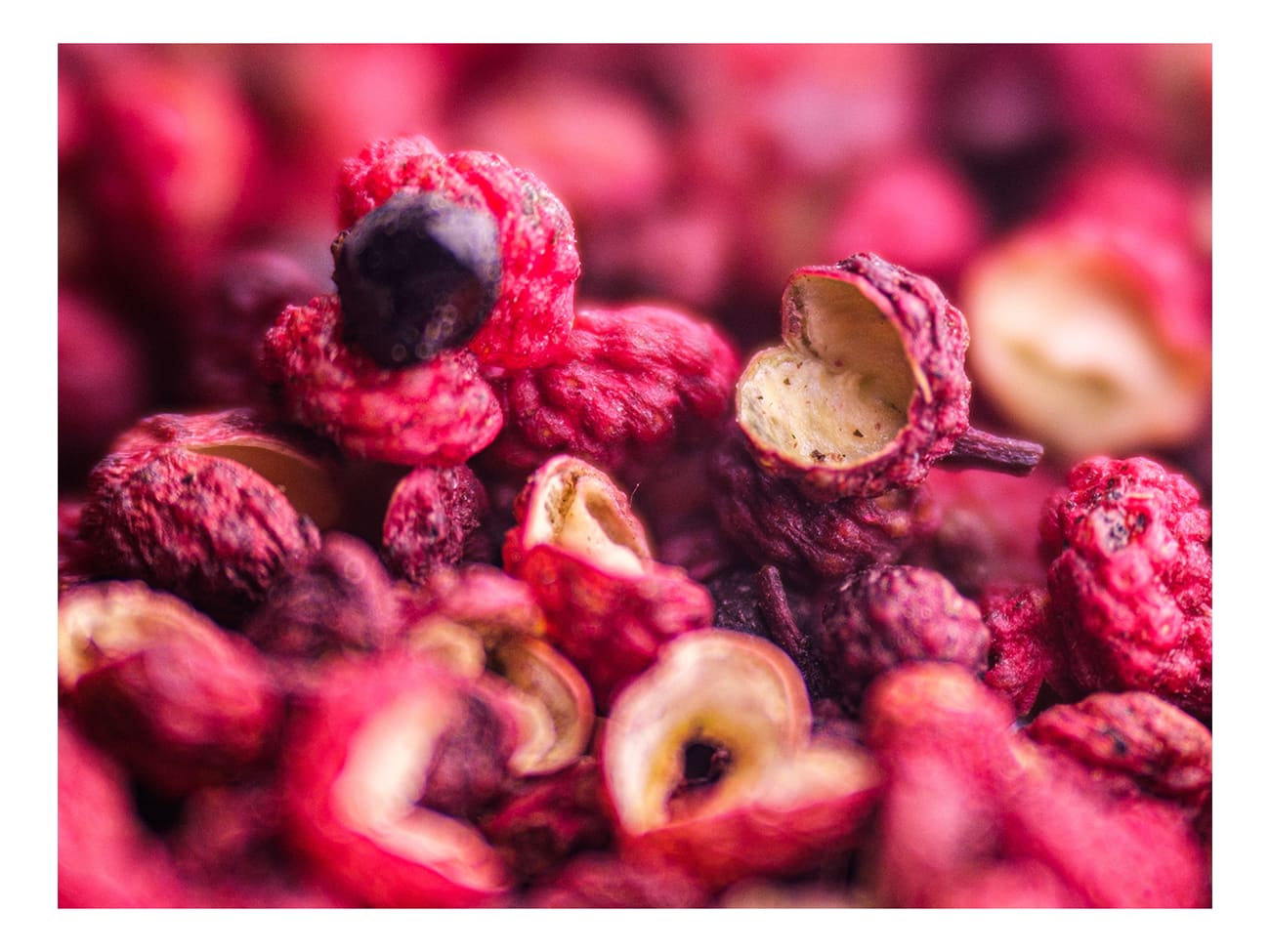 Poivres de Sichuan rouge - 35 g - Max Daumin