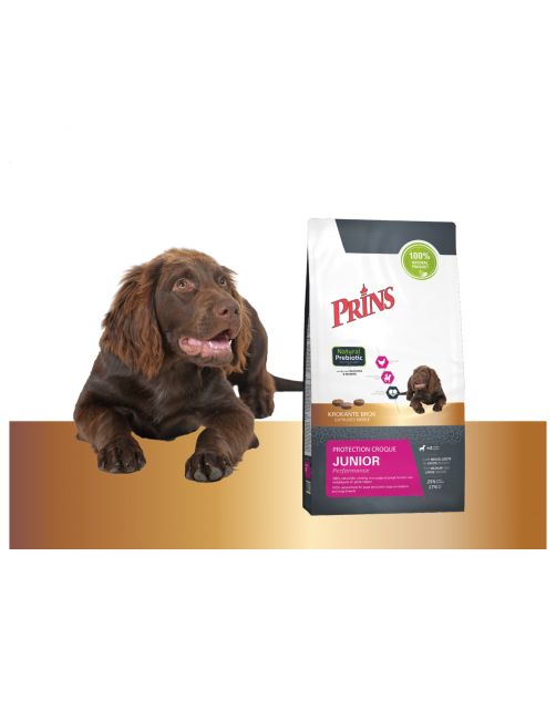 Prins Protection Croque Junior Performance - Hondenvoer