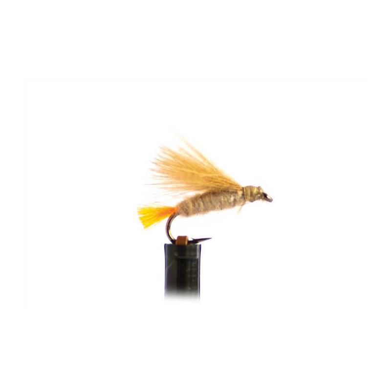 Mouche Tof Palmer Cdc Tag