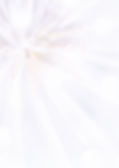 TMS | Condoleancekaart | Bloemen
