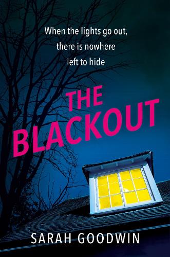 The Blackout (Paperback)