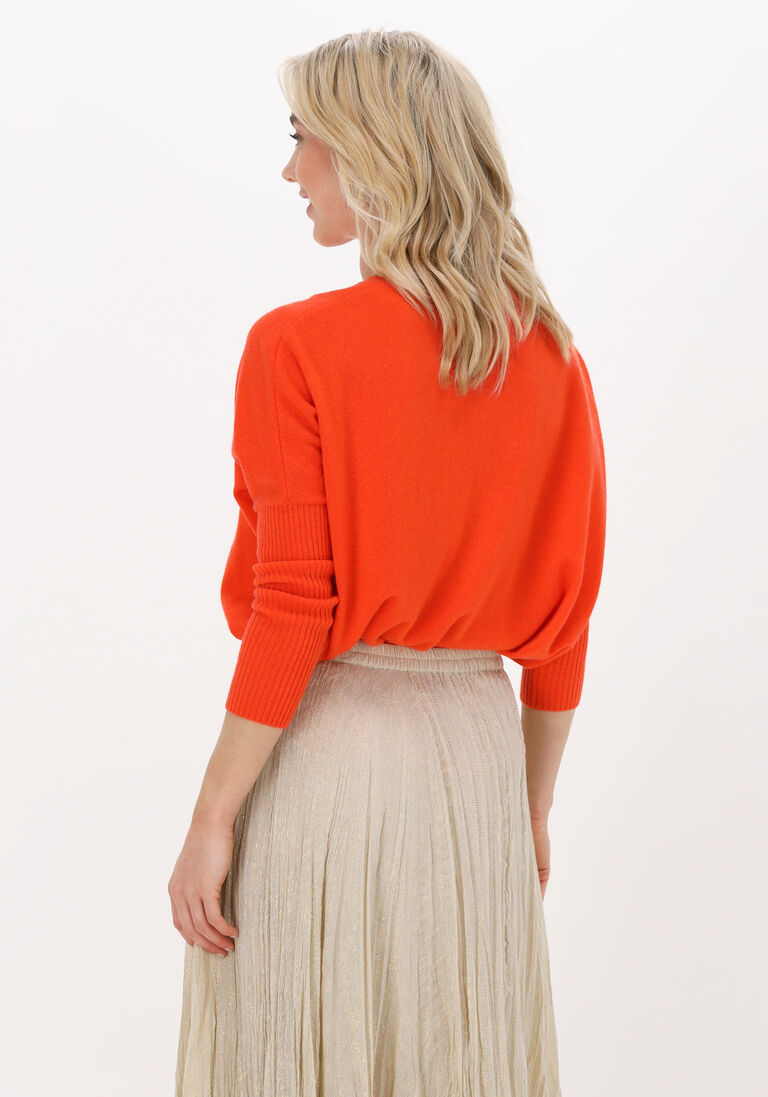 NOT SHY oranje not shy trui faustine
