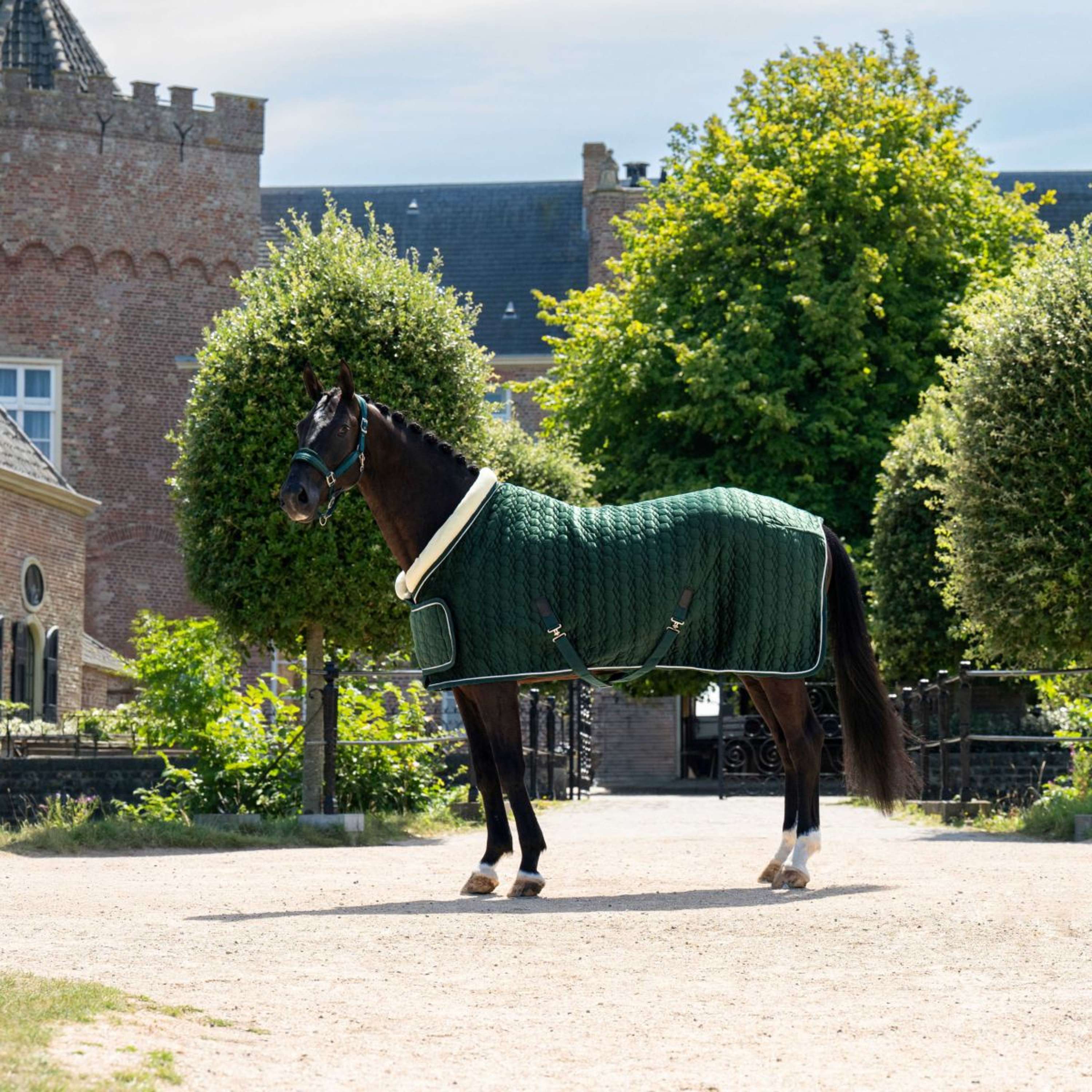HB Ruitersport Showdeken Special Peach Forest Green