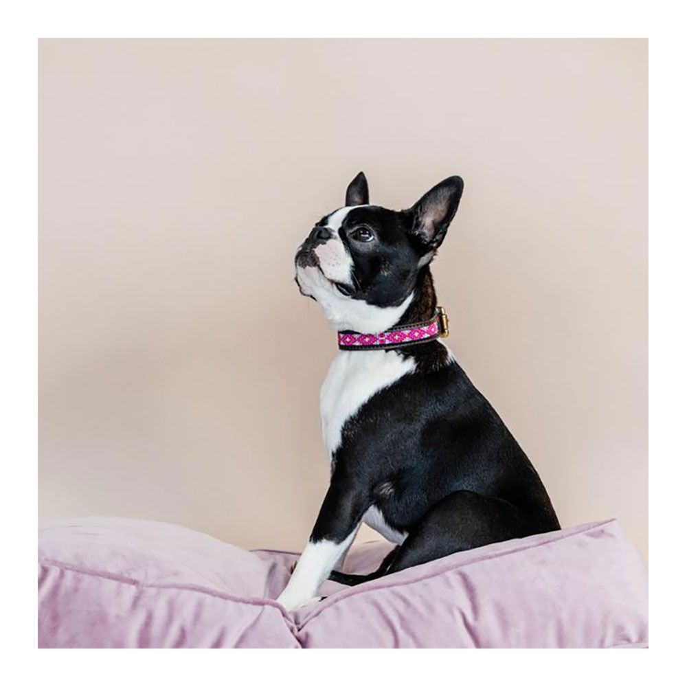 Kentucky PEARLS -  Collier pour chien pink