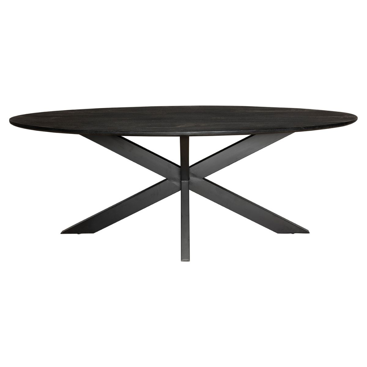 Ovale Eettafel Rijn Maat 210