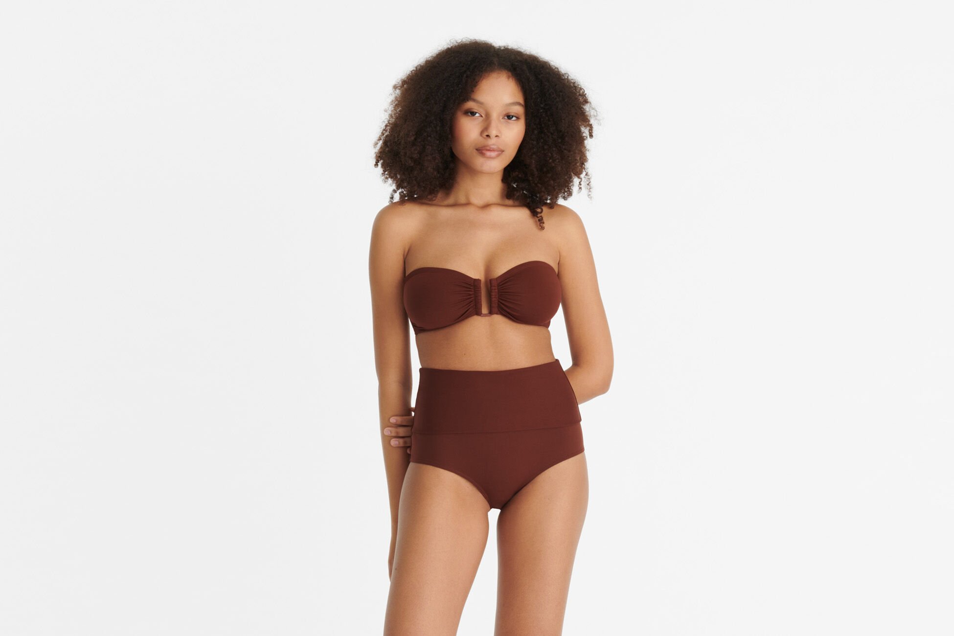 Show Bandeau TORTUE