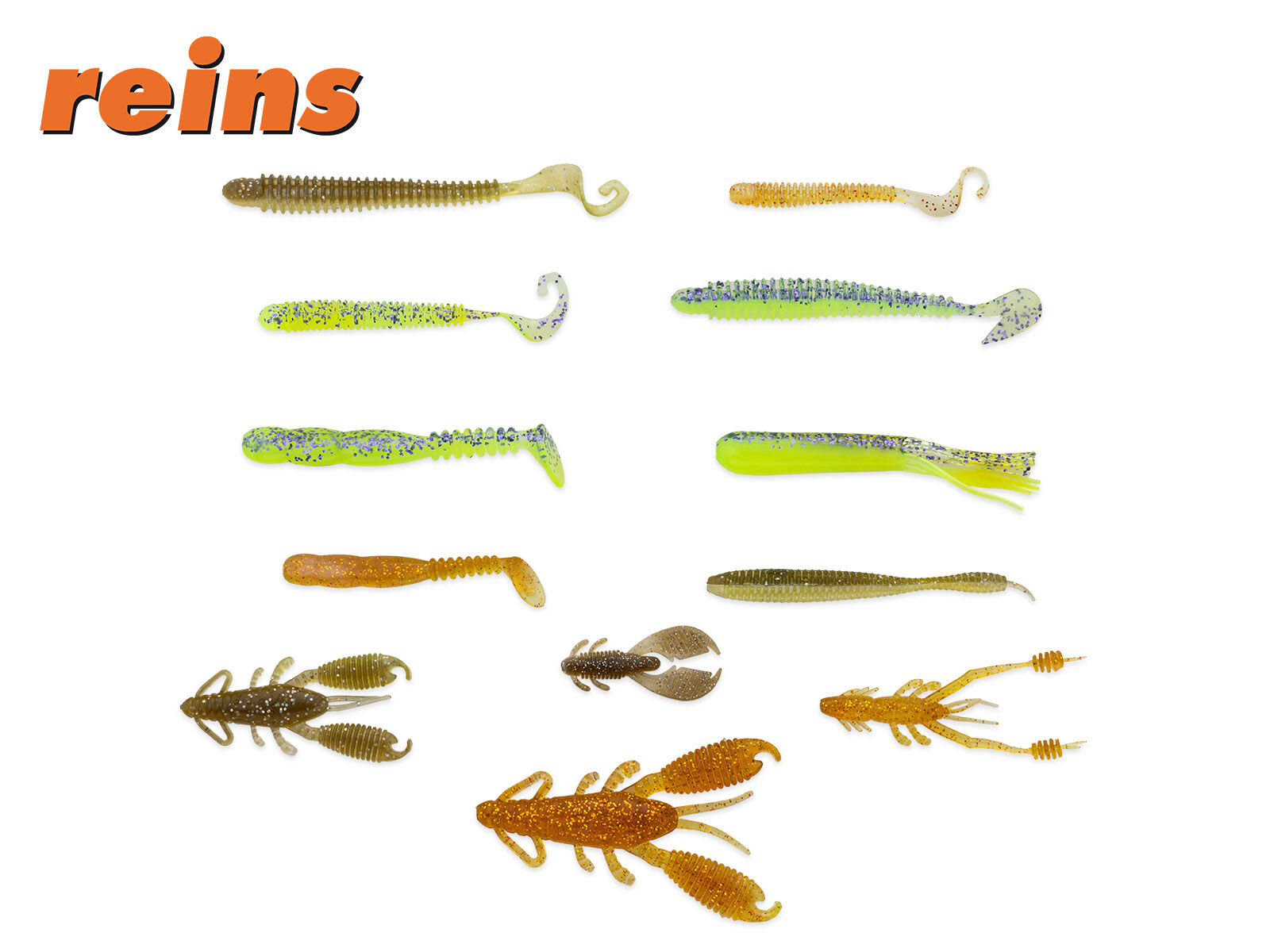 REINS BA-Edition Set