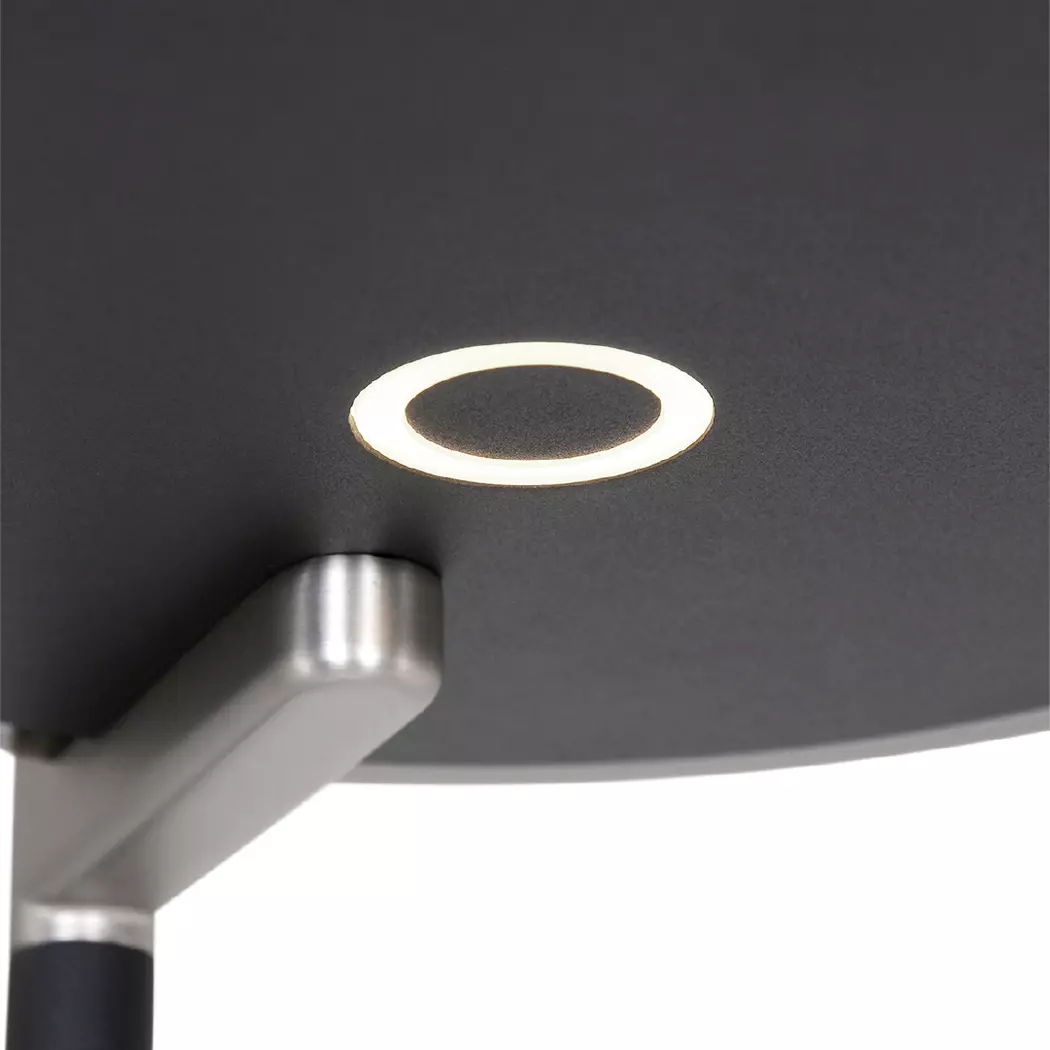 LED-Stehlampe Turound