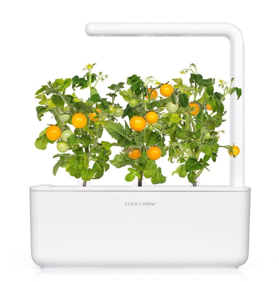 Click and Grow - Smart Garden Refill 3-pack Yellow Tomato
