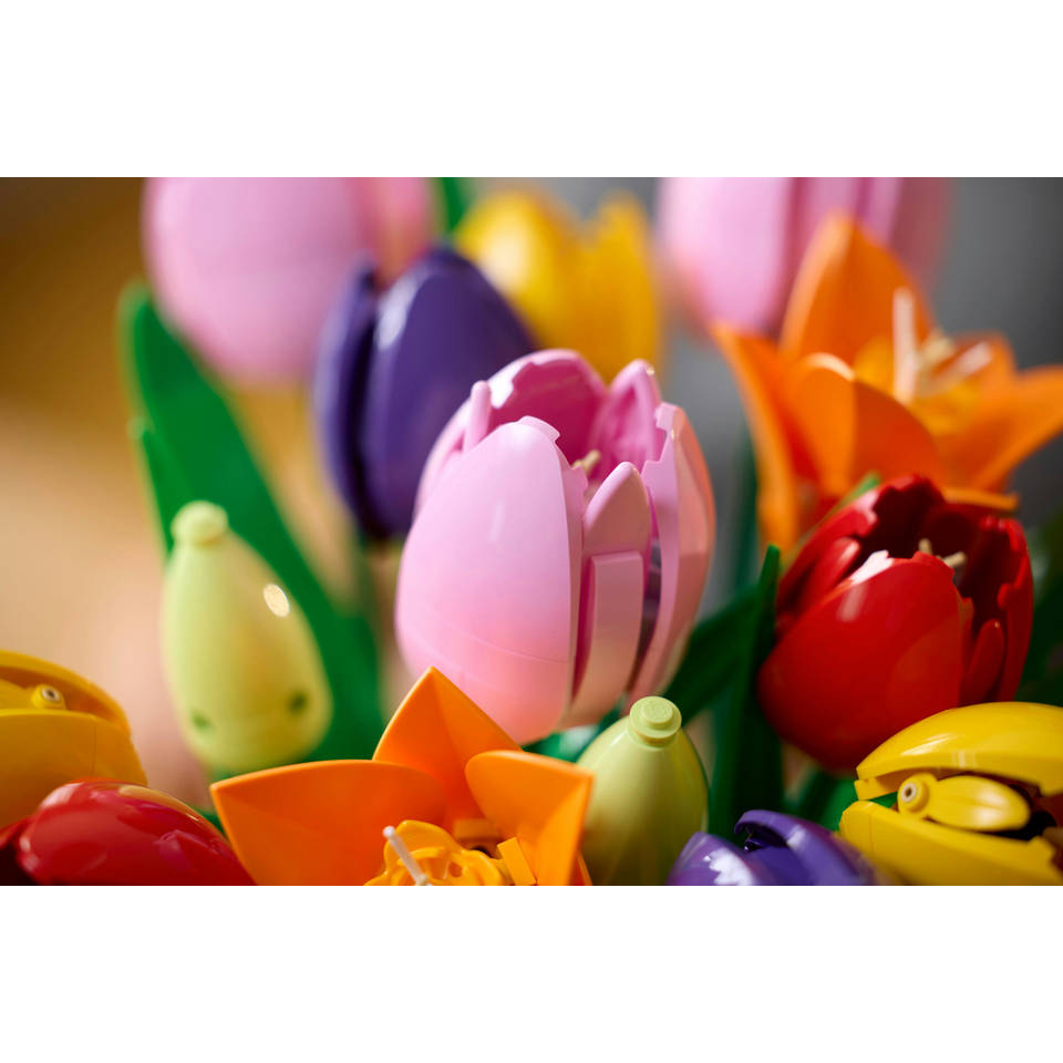 LEGO Botanicals boeket met tulpen 11501