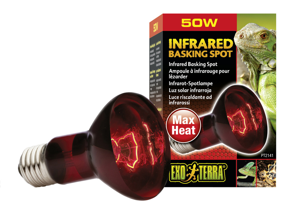 Lampe infrared basking spot reptiles