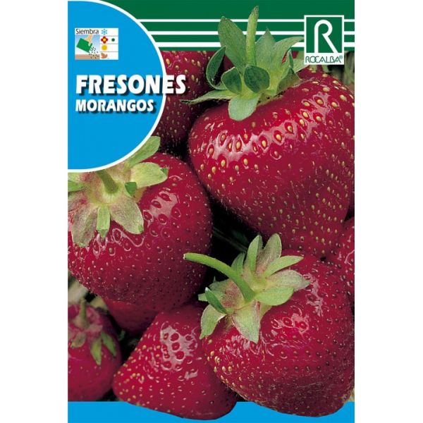 Rocalba Sementes Morango (4g)